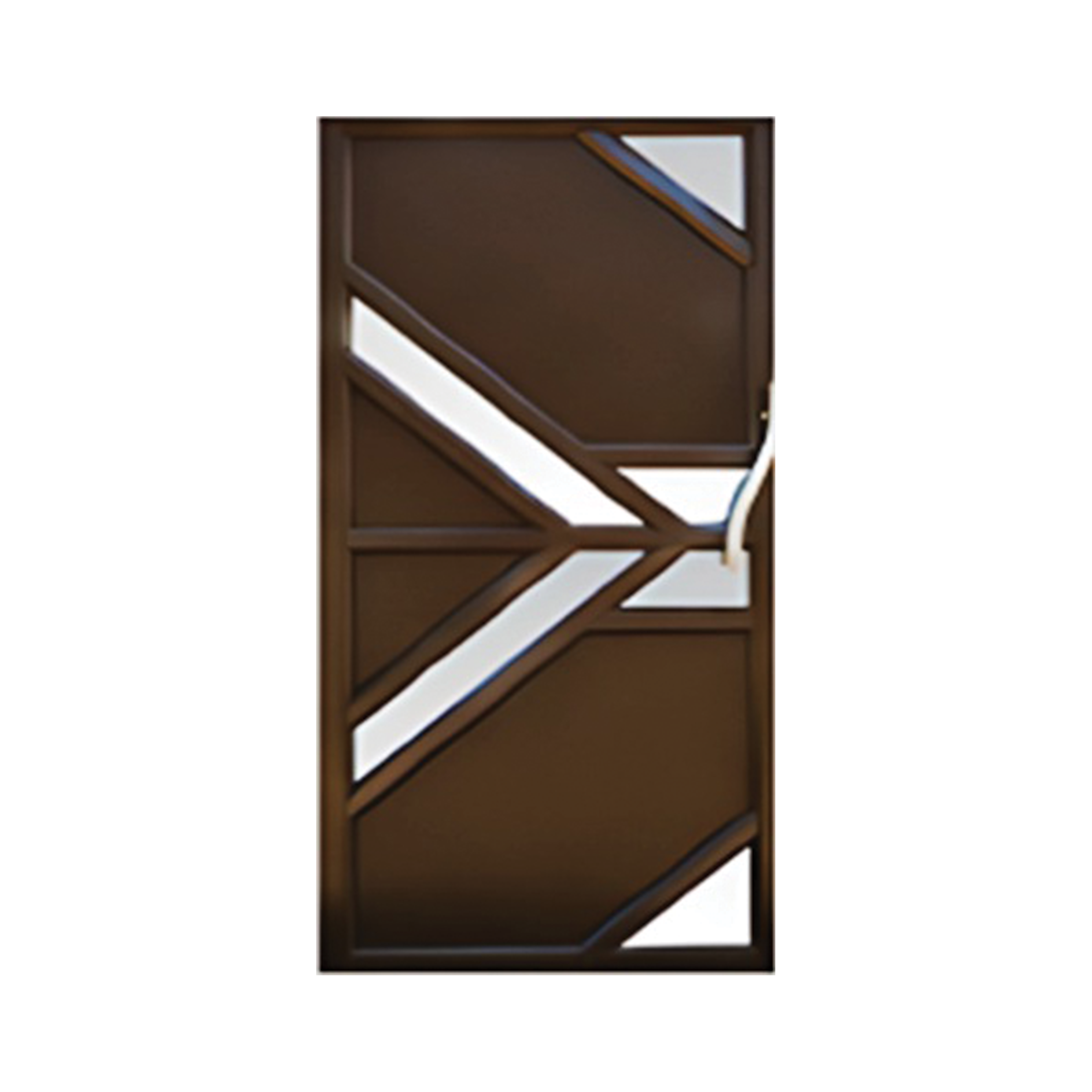 Aluminum Fancy Door