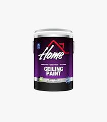 HOME CEILING PAINT 5LT